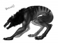 Enigma werewolf.jpg