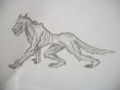 Hedgenok wolf.jpg